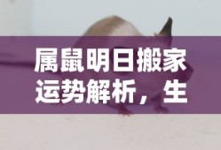 大亨手游，苹果版推荐与深度解析
