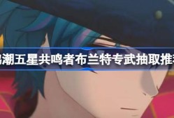 鸣潮五星共鸣者布兰特专武抽取推荐-鸣潮五星共鸣者布兰特专武是否值得入手