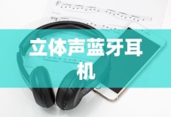 情态动词can的用法详解