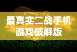 最真实二战手机游戏破解版