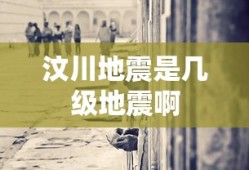 汶川地震是几级地震啊