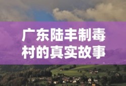 广东陆丰制毒村的真实故事