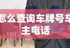 怎么查询车牌号车主电话