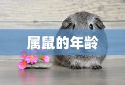 横扫天下手游官网下载