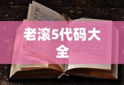 老滚5代码大全