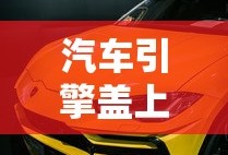 汽车引擎盖上能晒东西吗