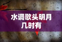 水调歌头明月几时有