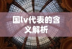 国lv代表的含义解析