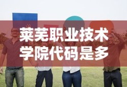 莱芜职业技术学院代码是多少