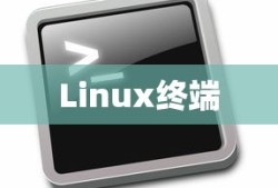 Linux终端如何执行命令