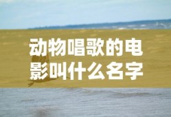 热血帝王辅助工具