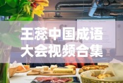 王蕊中国成语大会视频合集