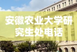 安徽农业大学研究生处电话