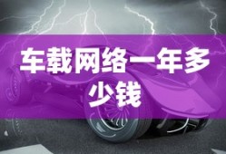 车载网络一年多少钱