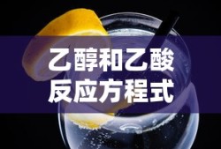 火影之白衣佐助免费阅读