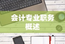会计专业职务概述