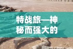 特战旅，神秘强大的兵种精英