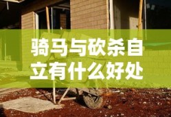 骑马与砍杀自立有什么好处
