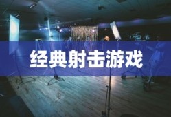 使命召唤2中文版，经典射击游戏的本土化魅力体验