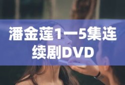 潘金莲1一5集连续剧DVD