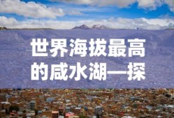 特朗普的现任妻子梅兰妮