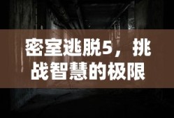 TP钱包币种发行全流程，全面解析与操作指南