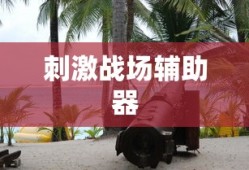 刺激战场辅助器