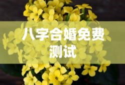 八字合婚免费测试