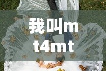我叫mt4mt攻略