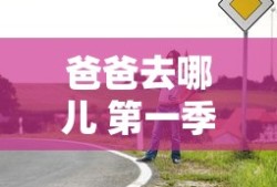 爸爸去哪儿 第一季 下载