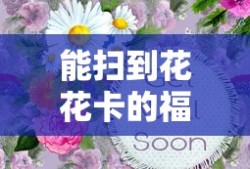 能扫到花花卡的福利有哪些