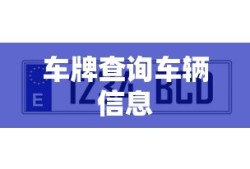 车牌查询车辆信息