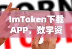 精忠报国岳飞传攻略完整版