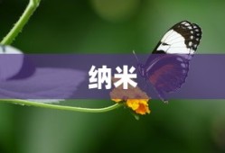 纳米是什么，揭开微观世界的神秘面纱