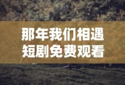 那年我们相遇短剧免费观看全集