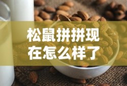 松鼠拼拼现在怎么样了