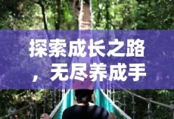 探索成长之路，无尽养成手游的无界探险之旅