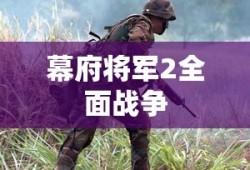 幕府将军2全面战争