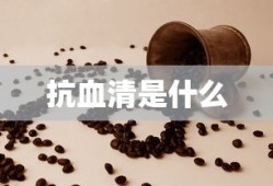 风云无双网页游戏