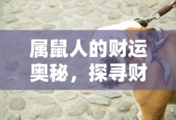 手游魅力无限，战神不败之玩法攻略