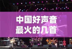中国好声音最火的几首歌曲