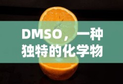 迷你dayz视频解说
