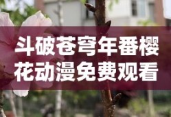 斗破苍穹年番樱花动漫免费观看年番