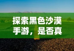 黑色沙漠手游探秘，是否真的存在坑？
