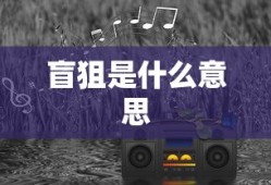 盲狙是什么意思