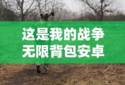 这是我的战争无限背包安卓版