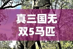 真三国无双5马匹一览
