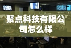 聚点科技有限公司怎么样