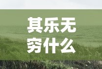 其乐无穷什么意思