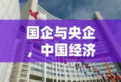 国企与央企，中国经济的双翼
